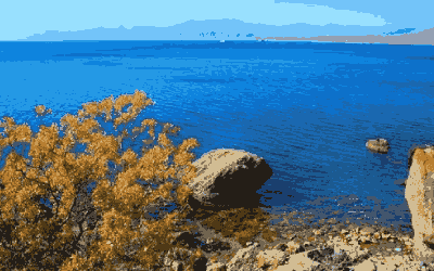 努力就可以进步？或许这是一个误区